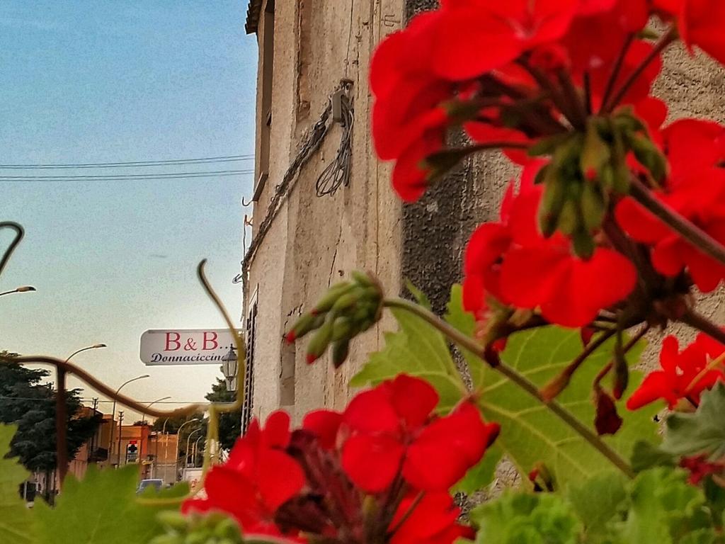 Donnaciccinatrapani Bed & Breakfast Rilievo Exterior photo